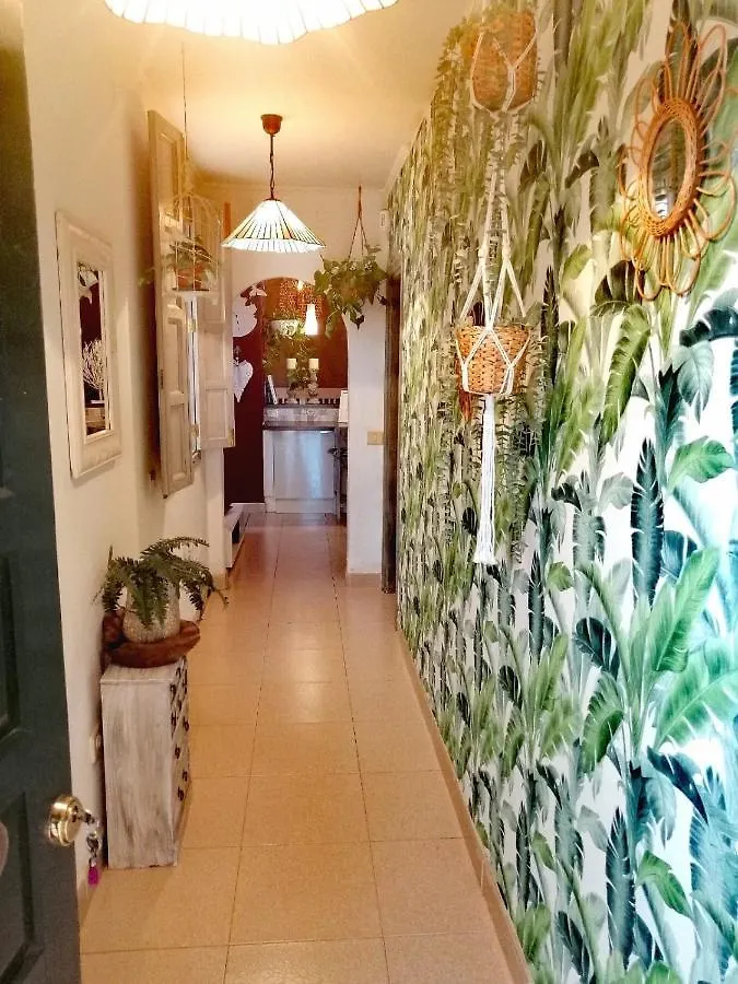 Vivienda Vacacional Vaiana Las Rosas  0*, Las Rosas (Arona, Tenerife)
