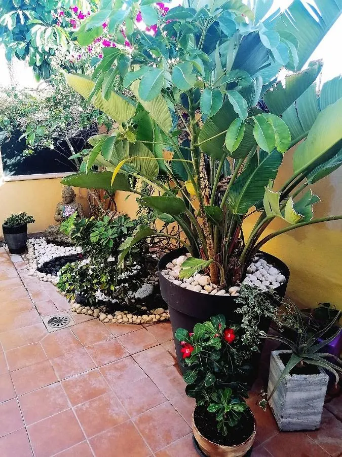 Appartement Vivienda Vacacional Vaiana Las Rosas  Espagne